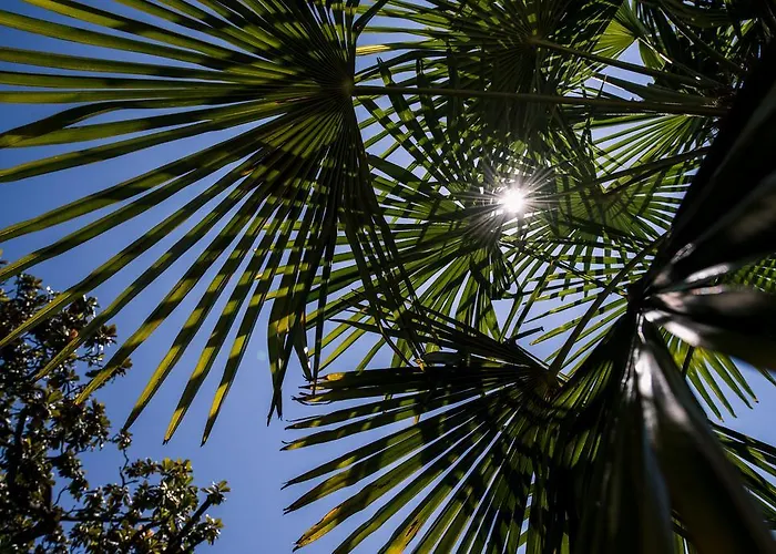 Eden Palace Au Hotel