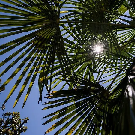 Eden Palace Au Hotel